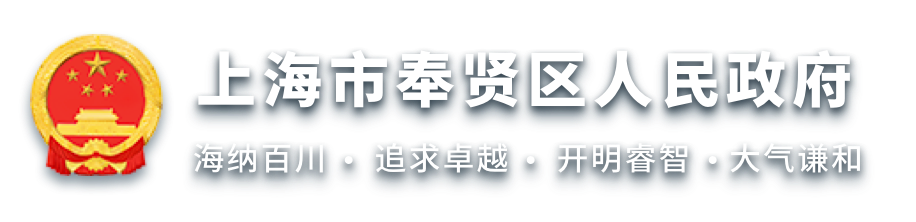 上海市奉贤区人民政府